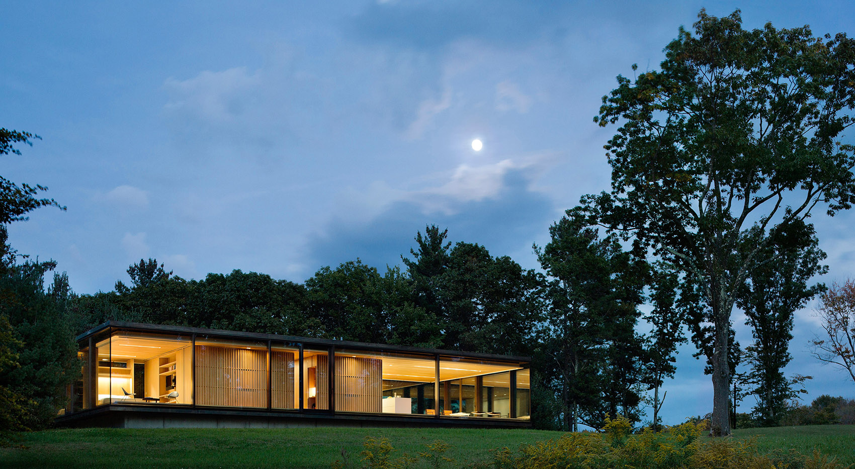 LM丛林旅店，纽约 / Desai Chia Architecture-7