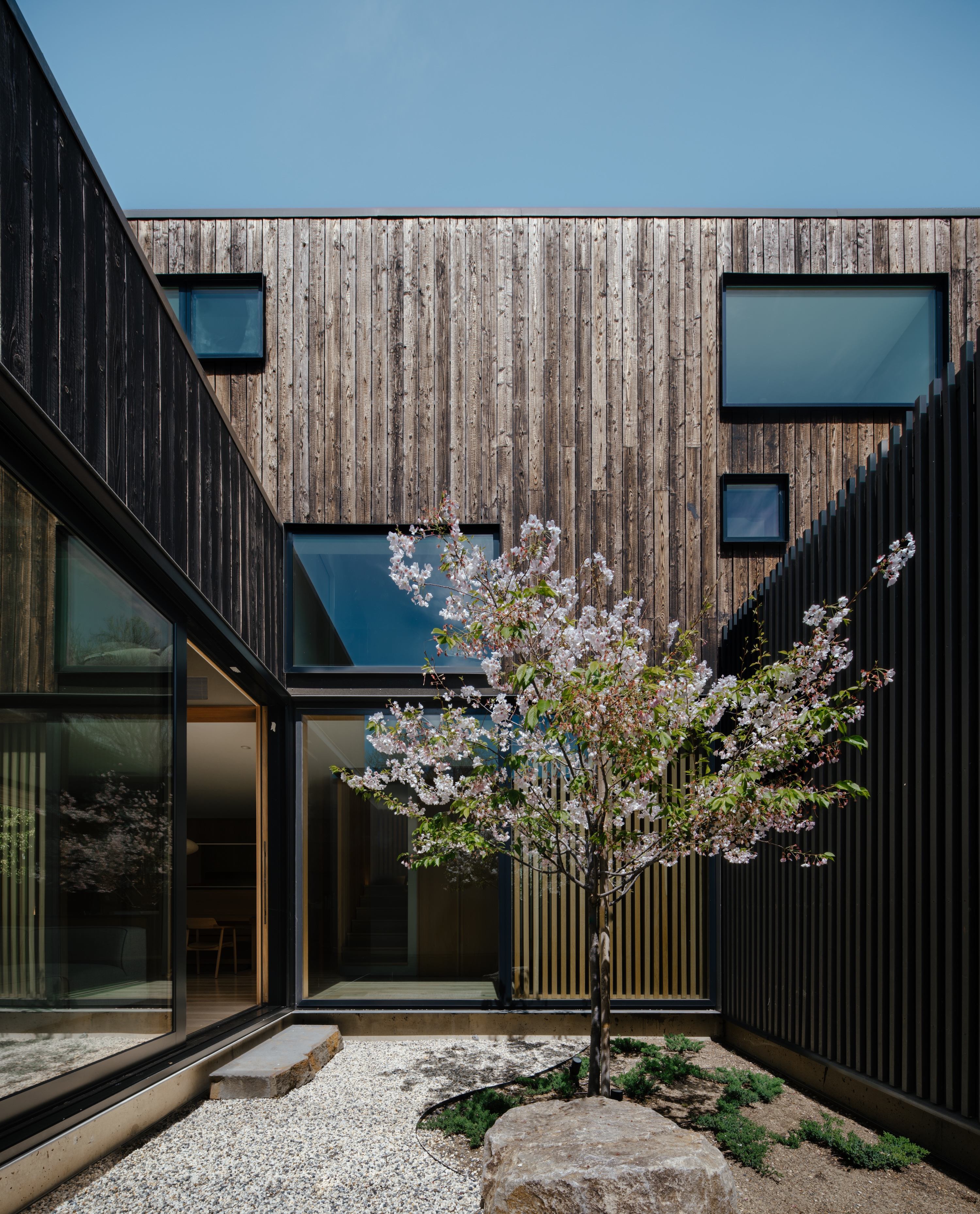 库比蒂诺庭院住宅丨美国加利福尼亚丨SHED Architecture & Design-13