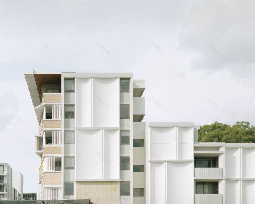 Botany Road 住宅区丨澳大利亚丨Candalepas Associates-35