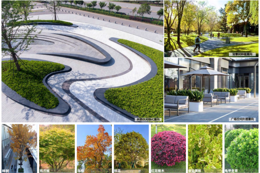 项目|曲线美学未来建筑:汽车交易展示中心建设项目-45