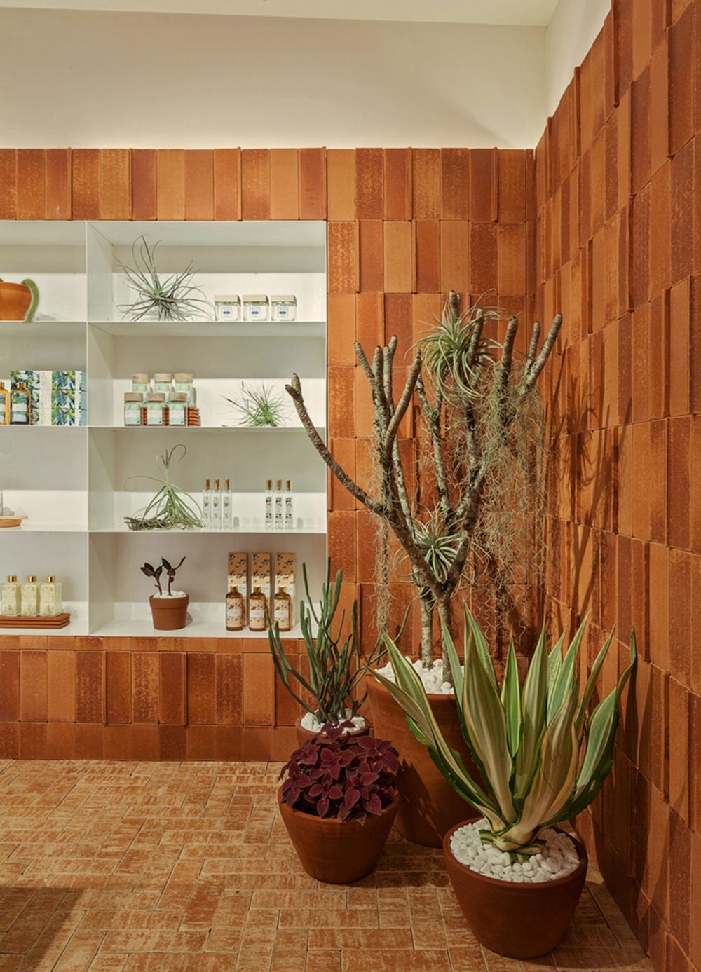 Mels Brushes 香水店-17