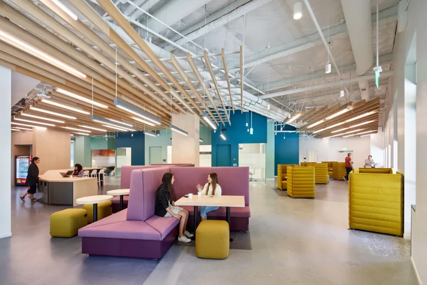 斯坦福红木城校园-18