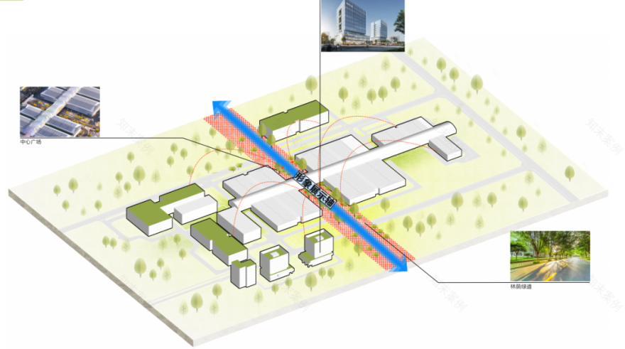 亚泰赋能阳春农业产业链升级:阳春冷链物流园筑就大湾区农产品流通新枢纽~-58