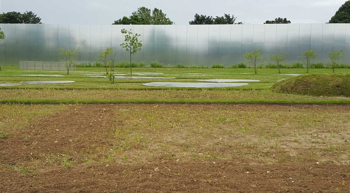 Louvre Lens 博物馆公园-32