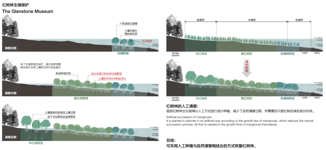 红树之翼 | 人文与自然共融的深圳红树林湿地博物馆设计-63