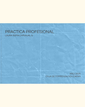 Practica Profesional | 2025