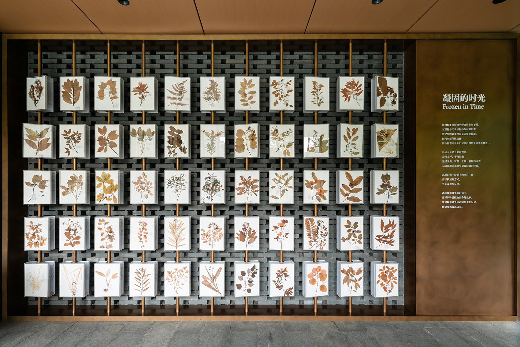 华南国家植物园云溪迁地保护示范区·自然教育馆丨华南理工大学建筑设计研究院有限公司等-44