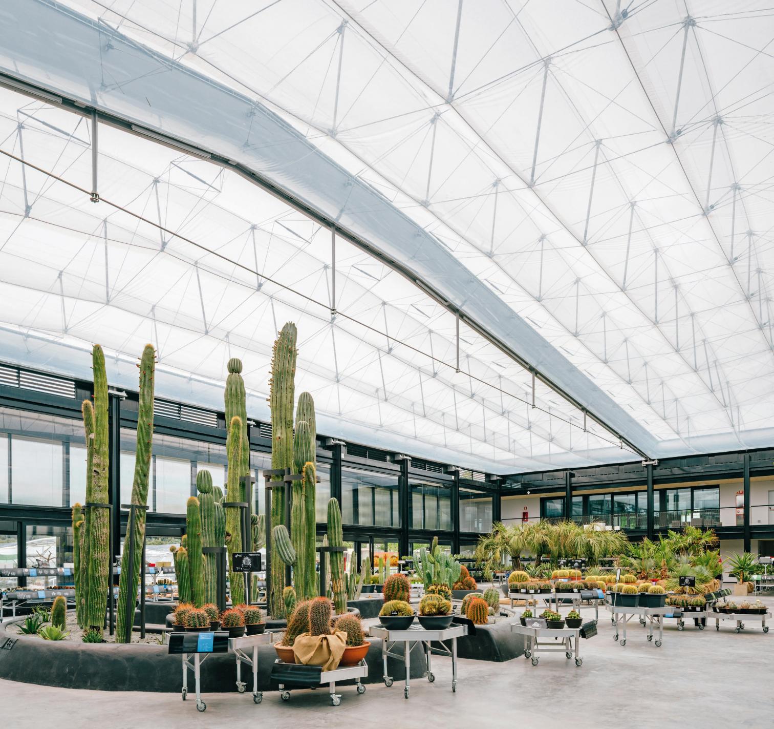 沙漠之城 | 双层氧吧的生态建筑设计-20