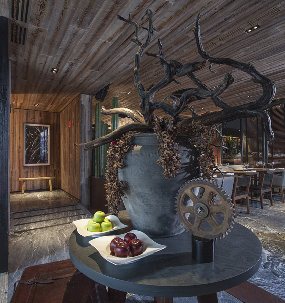 sonora grill insurgentes-4