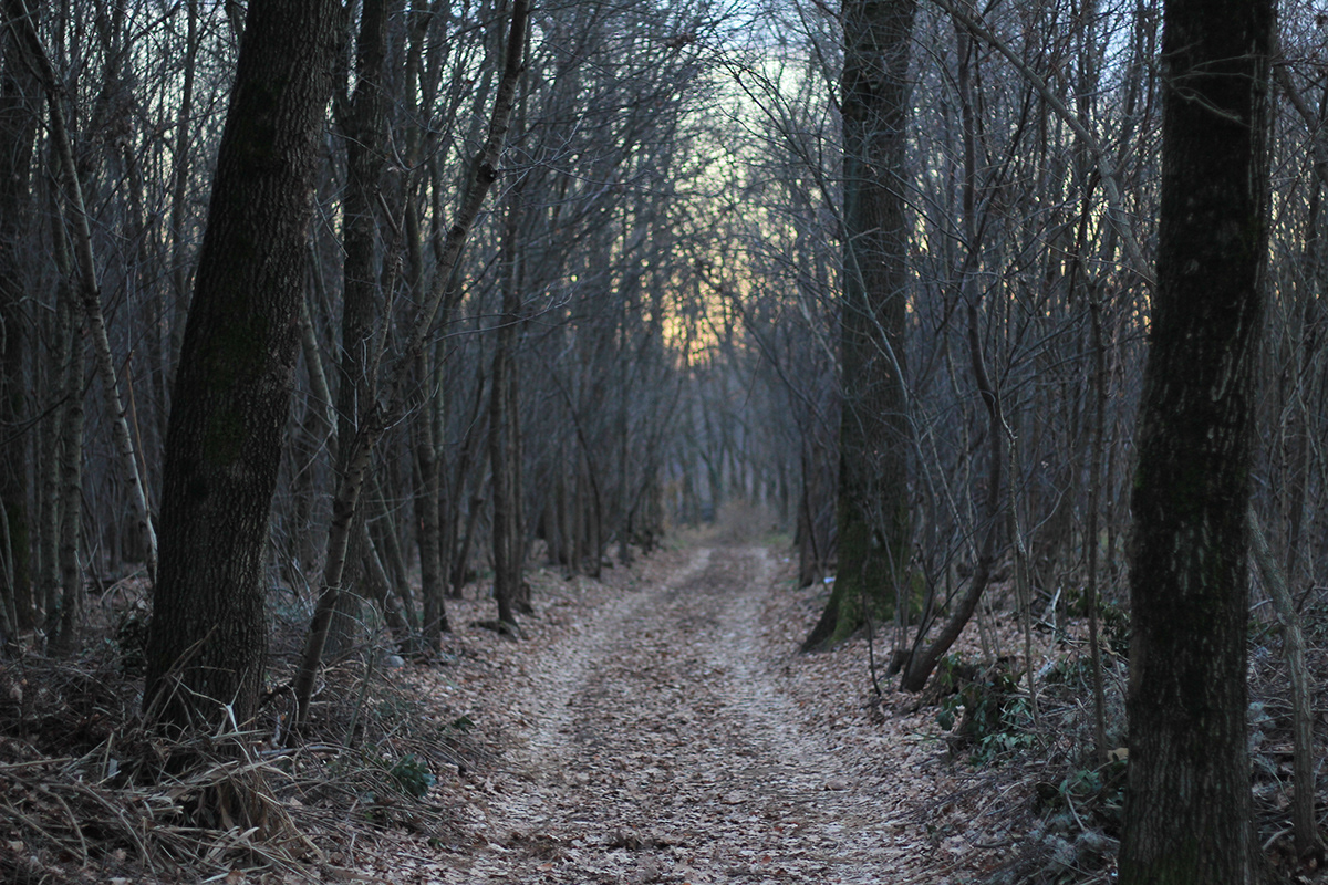 NATURA URBANA · 绿色自然的城市生活丨意大利米兰丨Francesca Teresa Quaranta-15