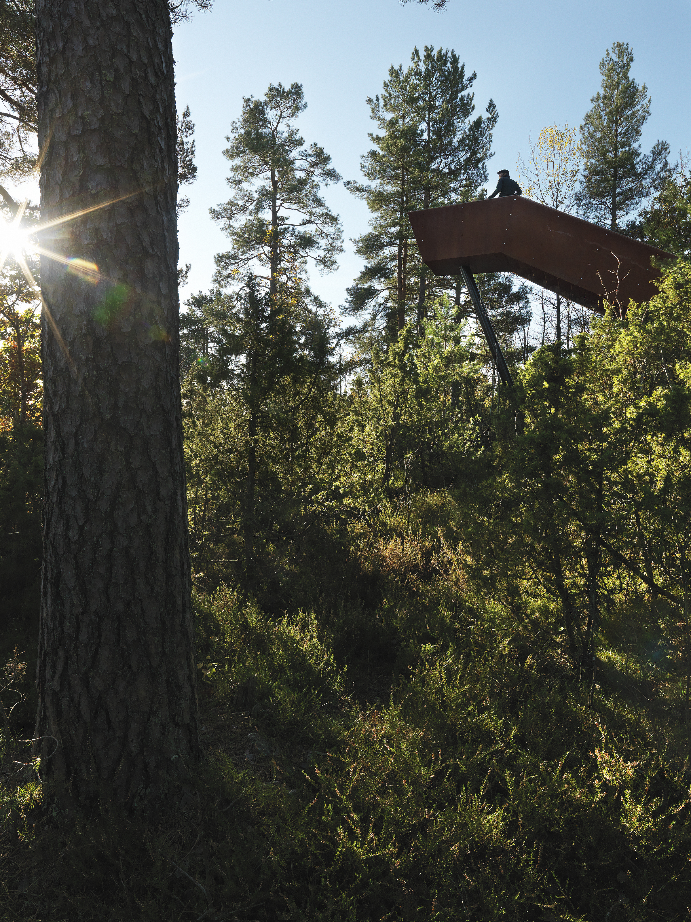 挪威斯托克 Sti For Øye 雕塑公园中的森林楼梯 / Saunders Architecture-16