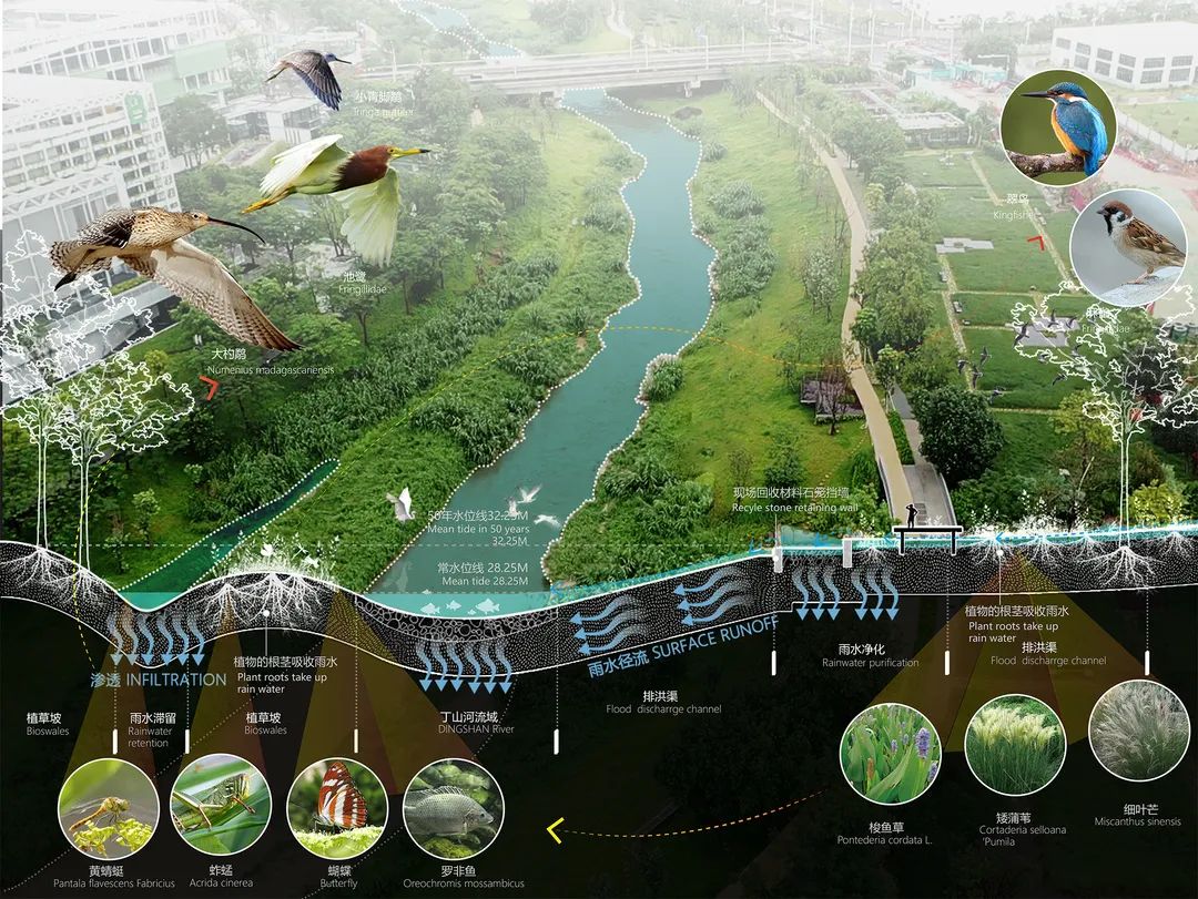 深圳低碳城滨水公园丨中国深圳丨AUBE欧博设计-22