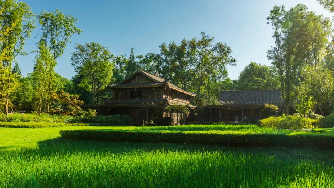 天府水岛林盘依田桃源丨中国成都丨梦景未来DDM-35