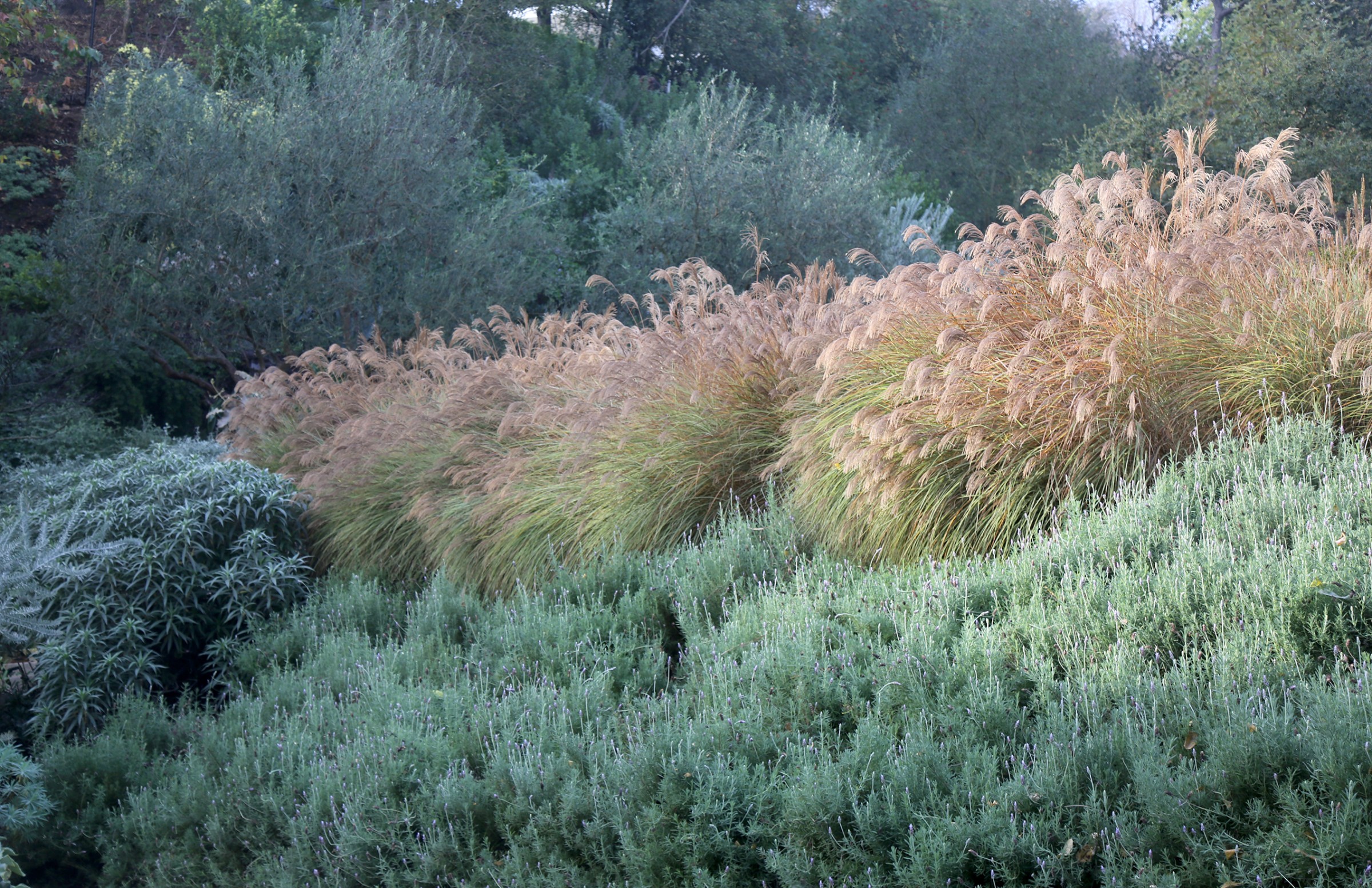 门前野趣丨TERREMOTO-77