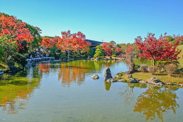 万博記念公園（日本庭園・自然文化園）丨安哥拉万博-16