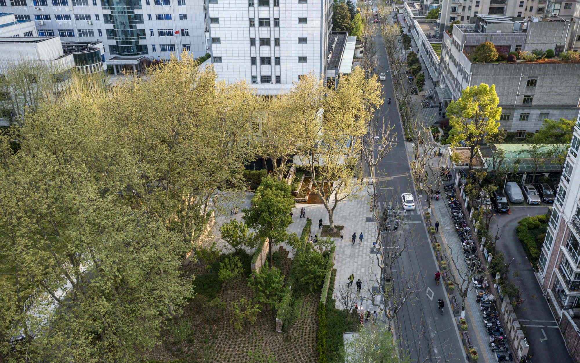 和平公园六号门改造丨中国上海丨Atelier Z+-30