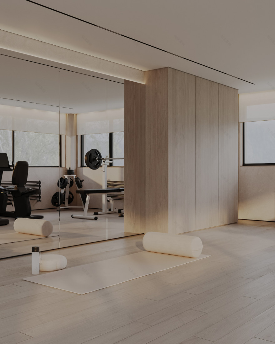 Sochi私人住宅健身区及休闲区设计-6