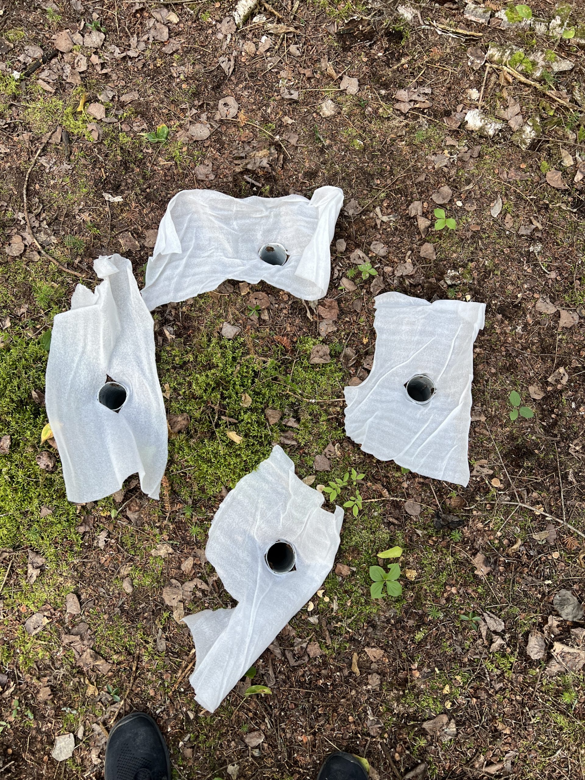 嵌套循环丨加拿大维多利亚丨Thom Fougere-44