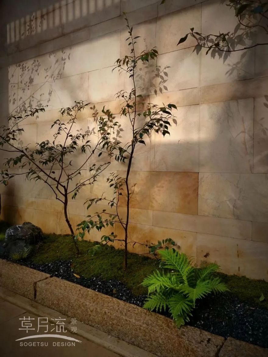暖阳下的庭院新色丨草月流景观-8