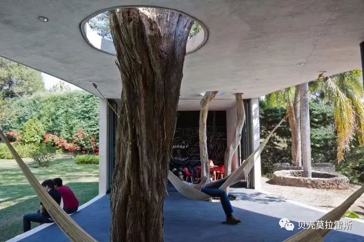 自然与建筑共生的设计魅力-39