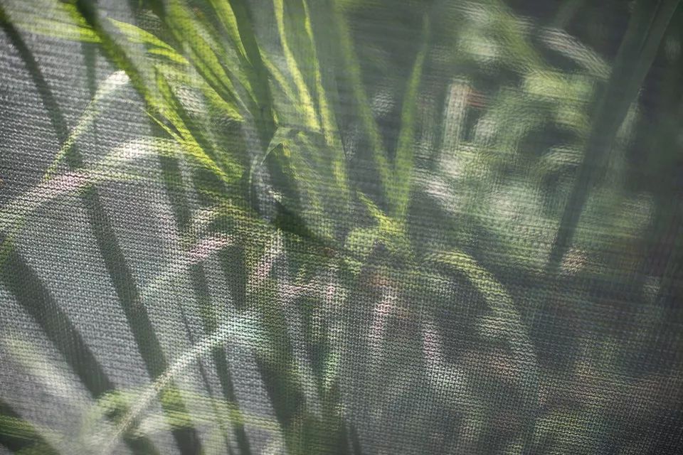 苗栗香格里拉乐园自然教室 | 岩石与银网的生态奇观-67