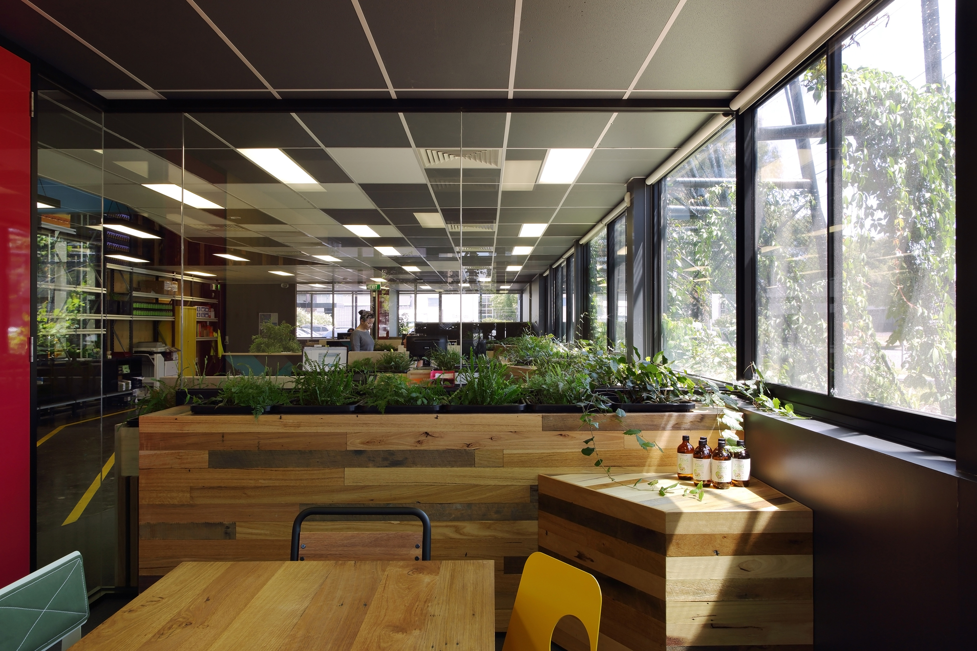 墨尔本 Melrose 健康产品总部,绿色生态办公空间-11