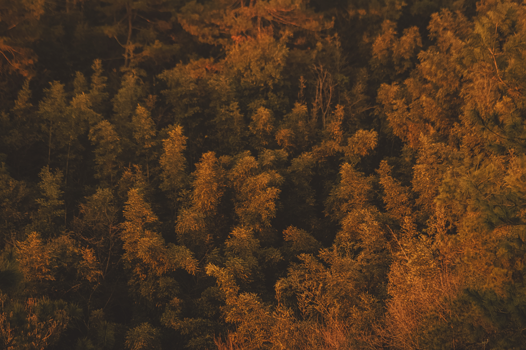 安吉天使小镇·合山境丨中国湖州丨万境设计WJSTUDIO-1