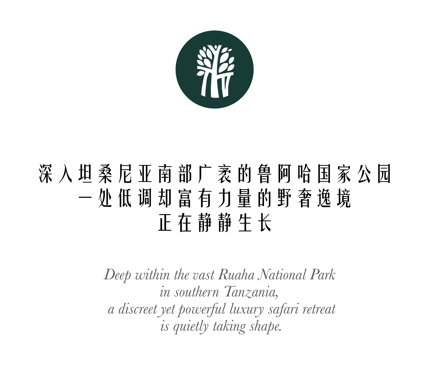 怀特利丨英国伦敦丨建筑改造Foster + Partners,室内设计AvroKO-103