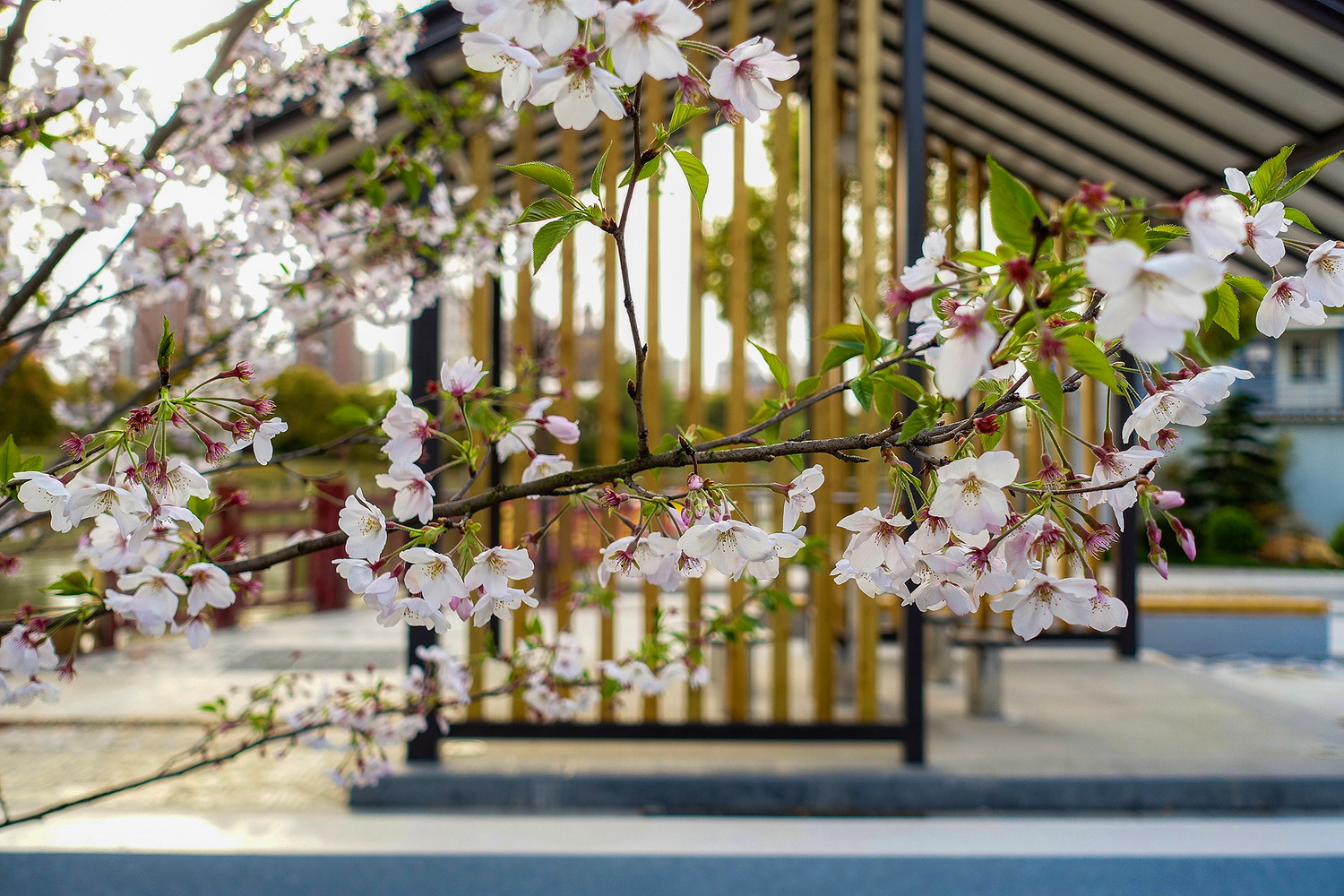 上海浦东金桥镇永建路小公园丨中国浦东新区丨上海善祥建筑设计有限公司-123