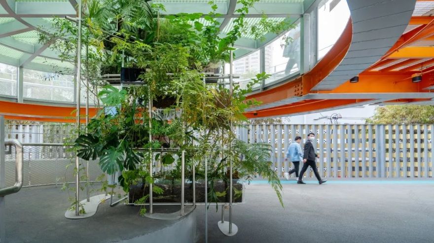 百禧公园 (Caoyang Centennial Park)-43