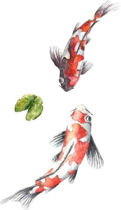 日式简约风打造 64㎡温馨家居-4