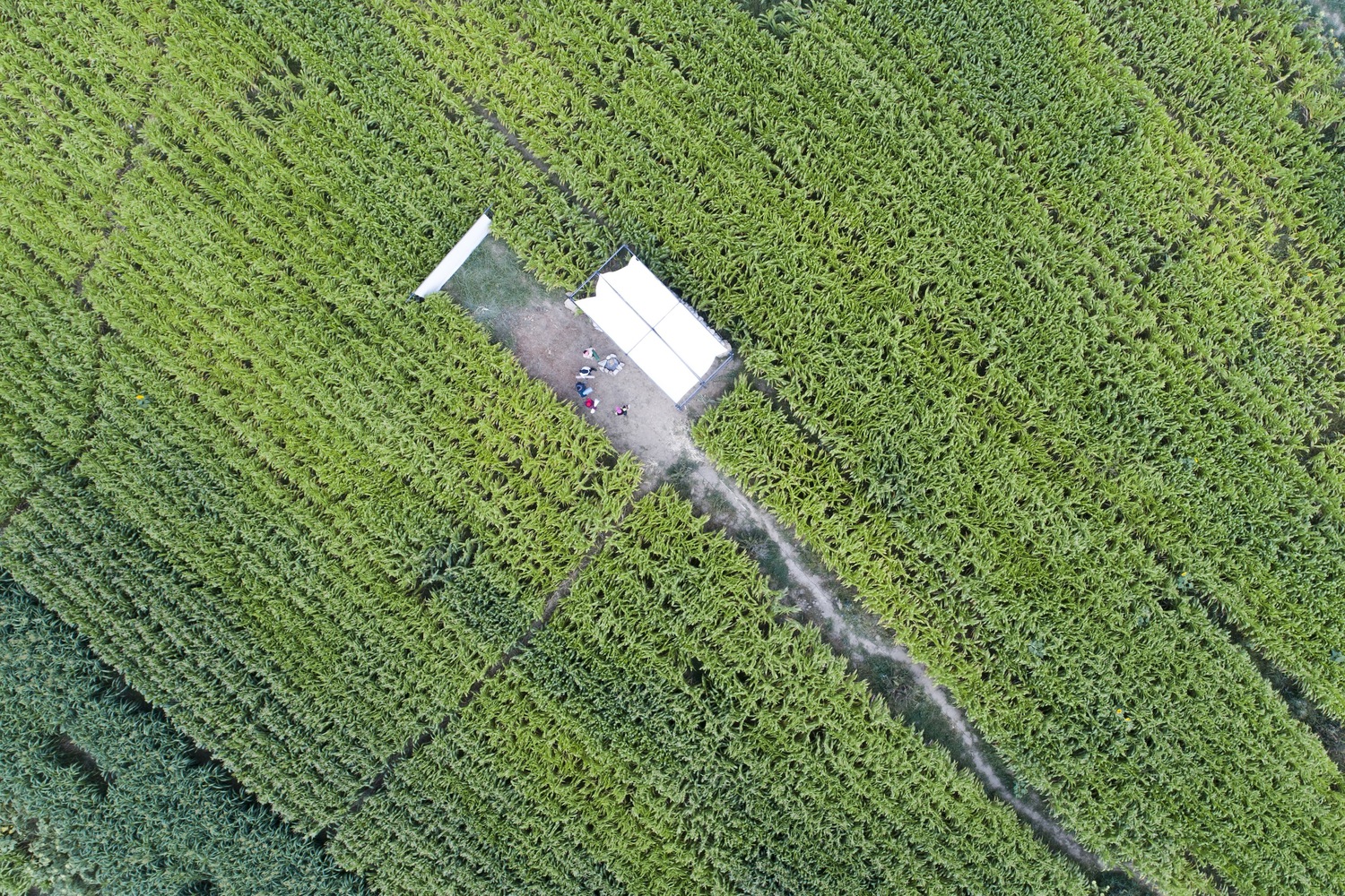 伊朗北部山村中的生态景观酒店设计-21