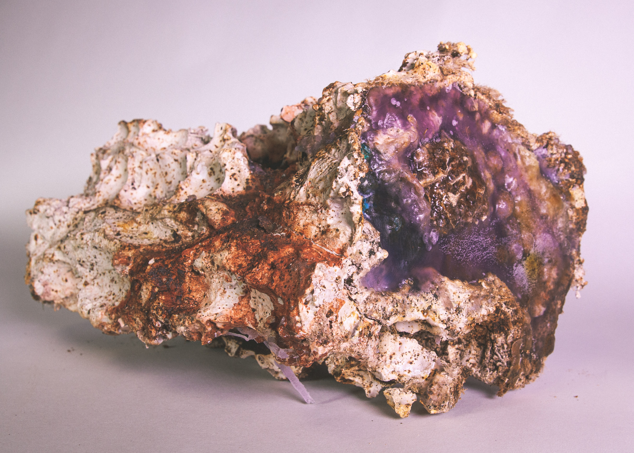 地形，生命形态丨未明确提及-4