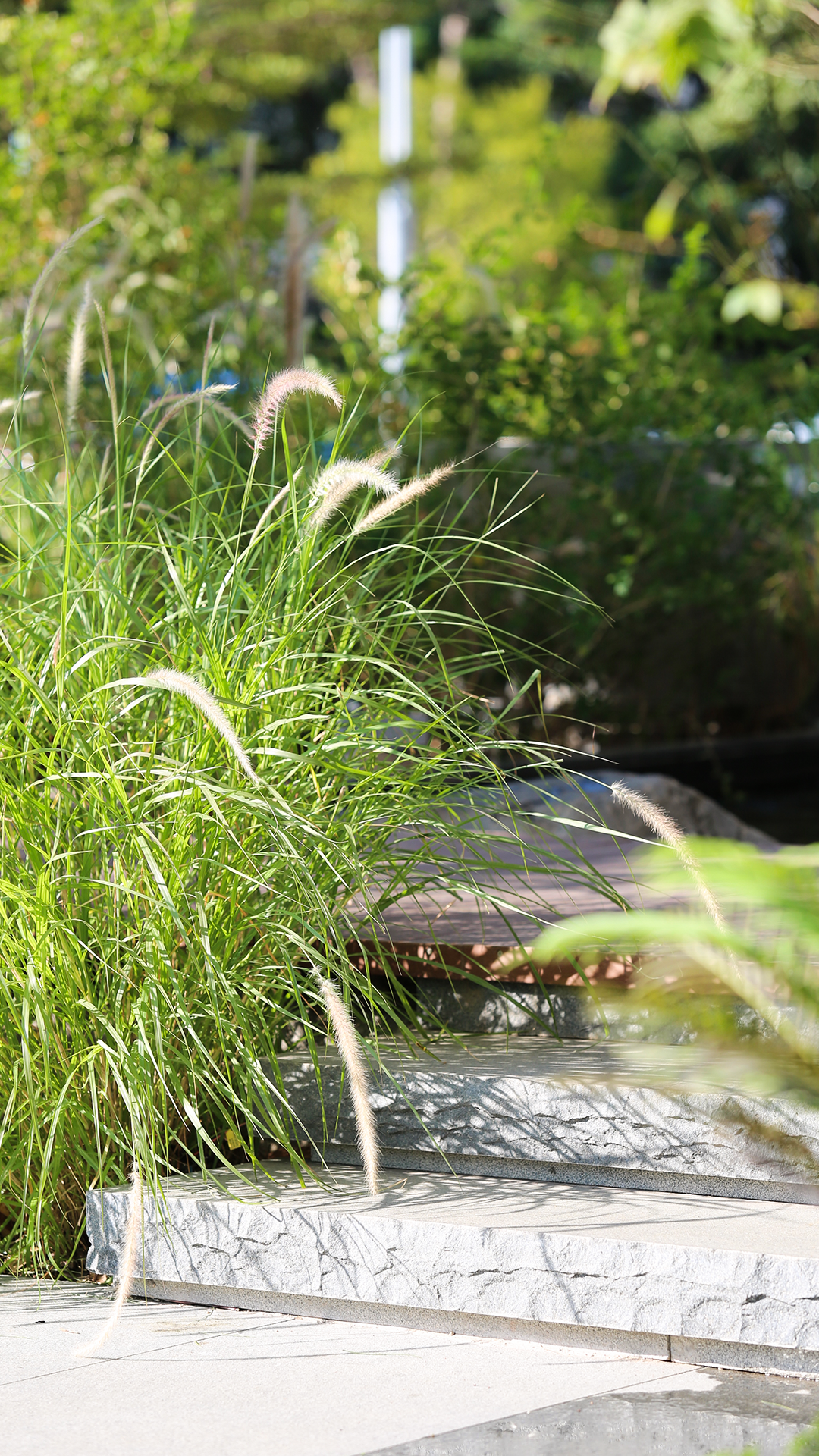 鹭鼎会·私房菜丨中国厦门丨巨子设计-17