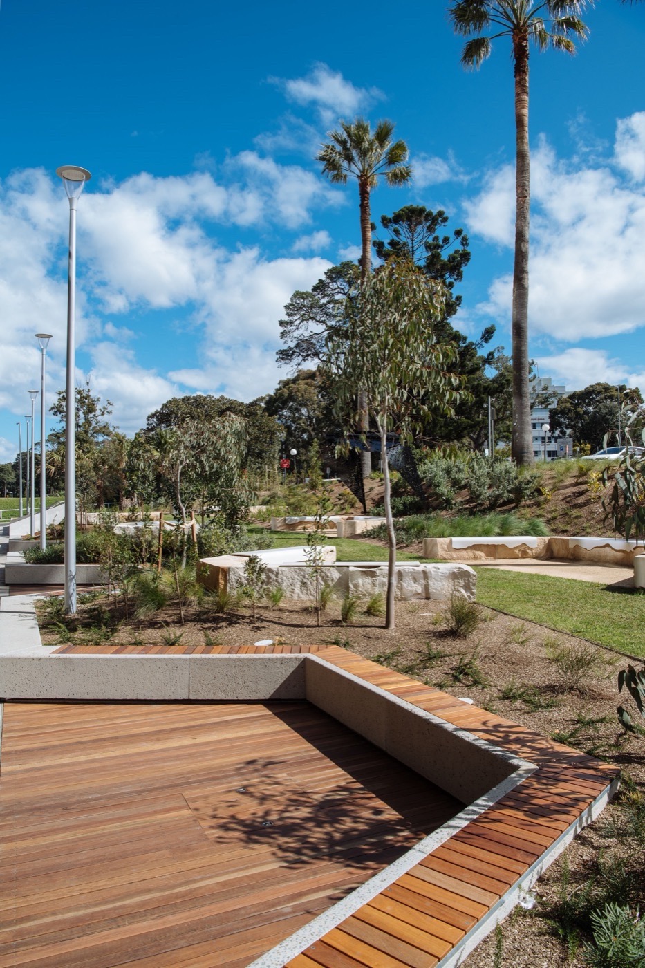 悉尼 St Leonards 健康组织迁址丨澳大利亚悉尼丨Arcadia Landscape Architecture-32