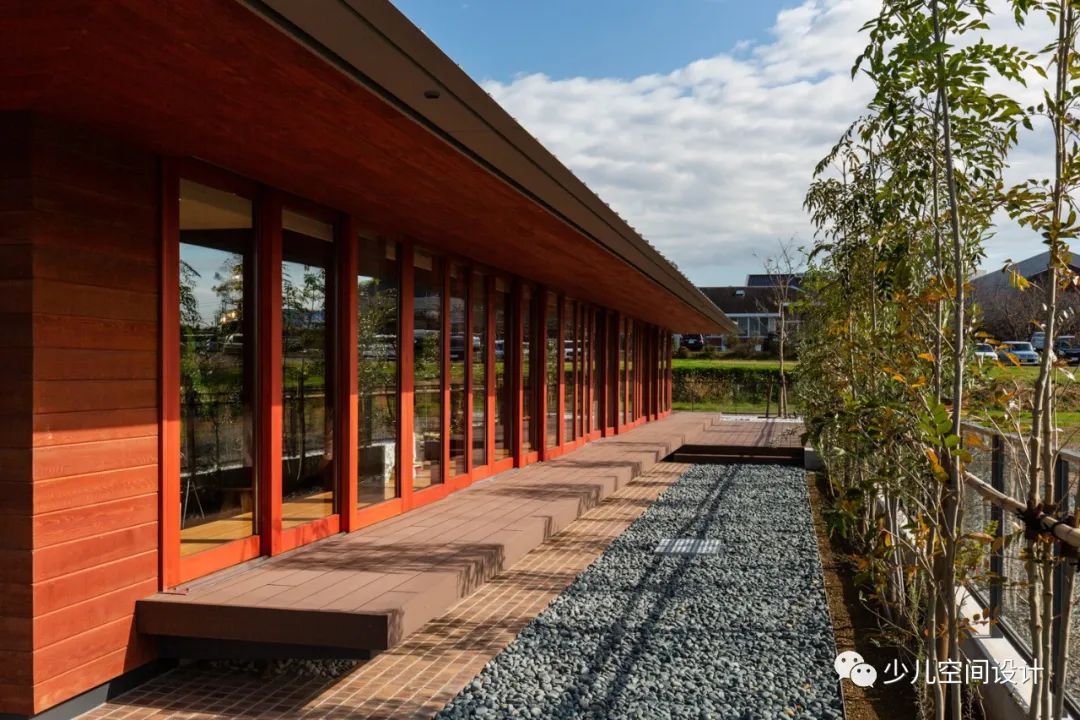 托儿所设计丨屋顶下的图画书森林-21