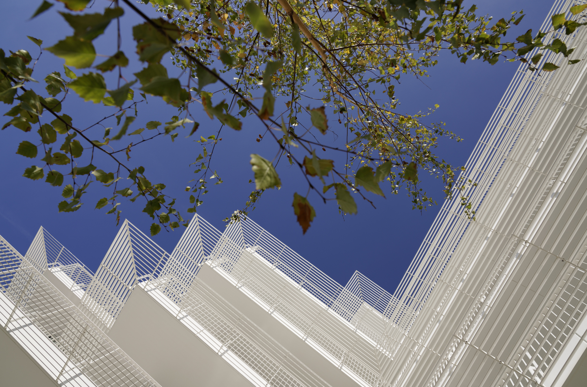 奥珀斯 33 号办公楼-14