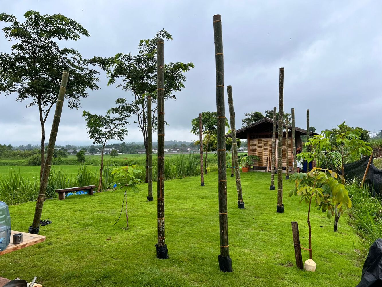 Thingamajiggy 咖啡烘培室丨泰国清迈-29