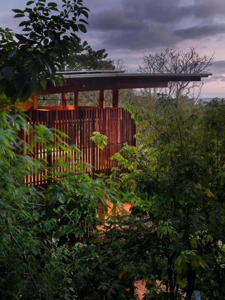 哥斯达黎加树屋 | 柚木与丛林的完美融合-30