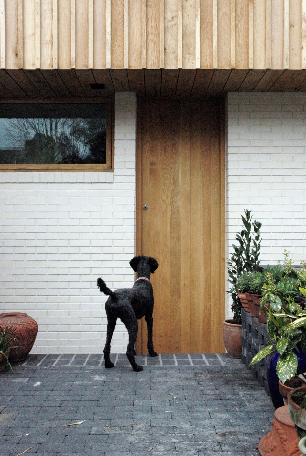 Hackney的“Green Oak”框架房屋丨英国伦敦丨Lynch Architects-13