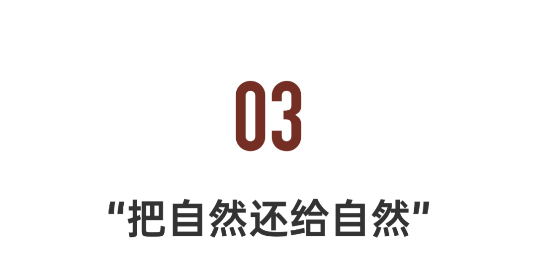 杭州自然美景工作室丨中国杭州丨余伟增,柴荣-123