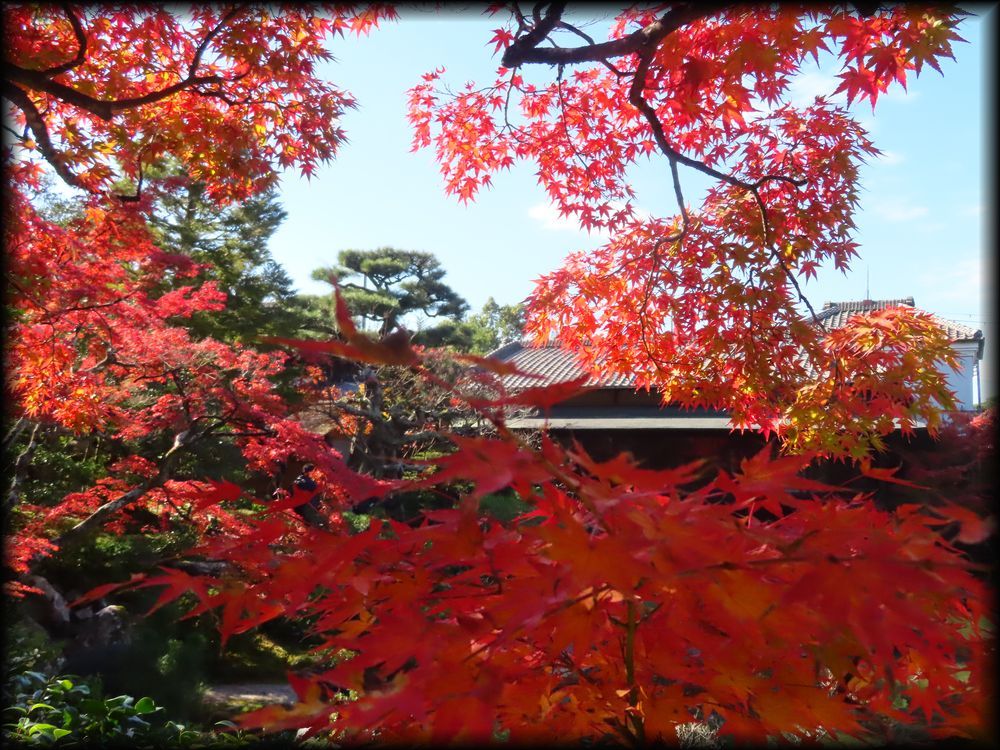 对龙山庄庭园丨日本京都丨七代目小川治兵衛-39
