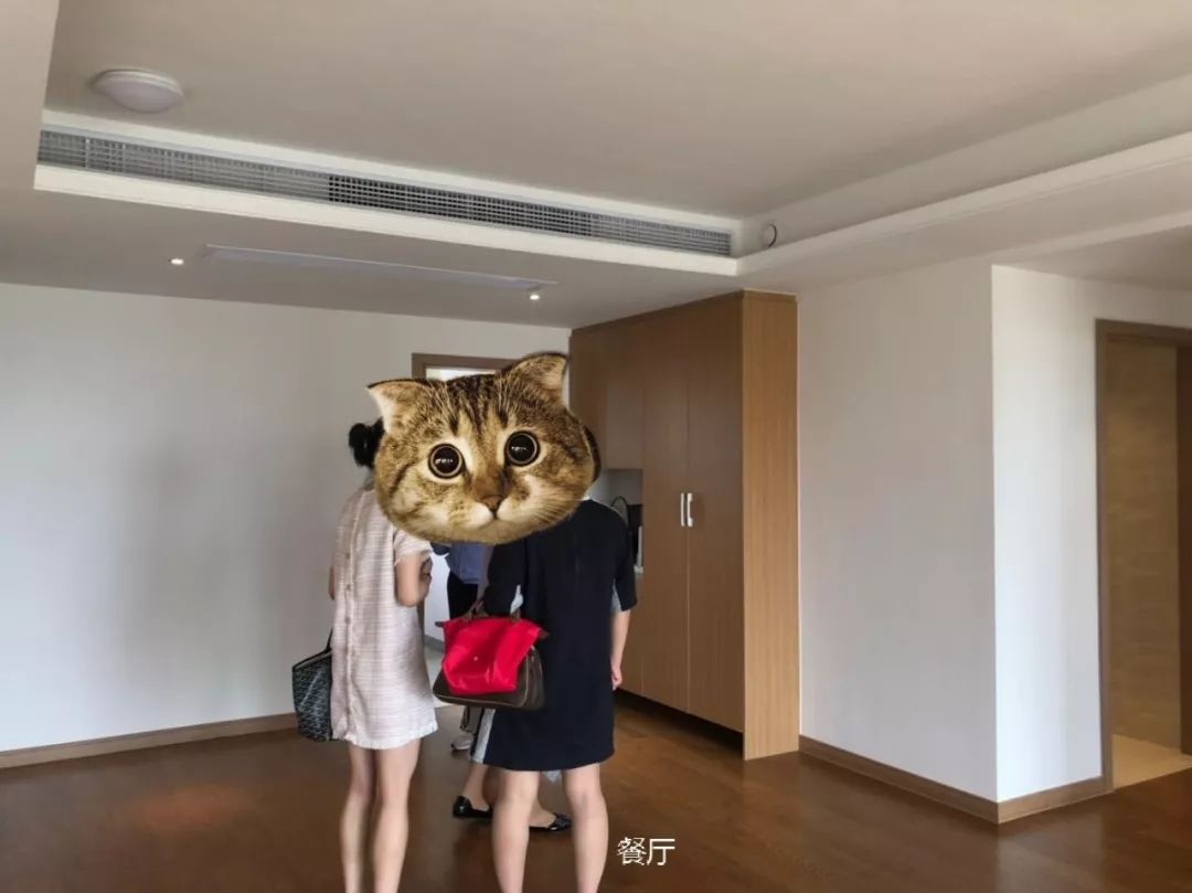 精装房改造，现代轻奢风演绎精致生活-10