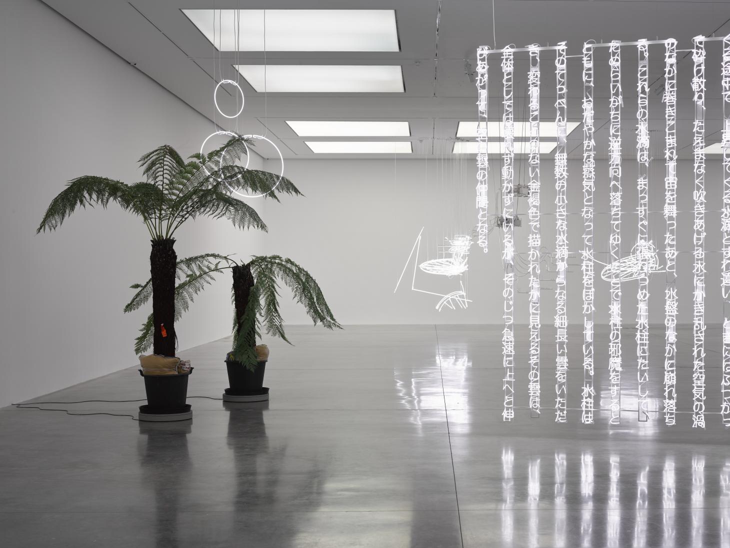 赛瑞思·韦恩斯 | “思考领域...视野领域”白立方展览解读-8