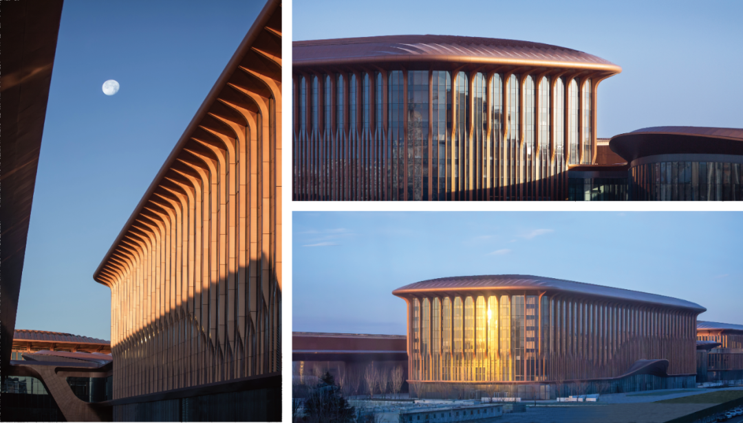 “紫金丝带”闪耀首都国际会展中心-90