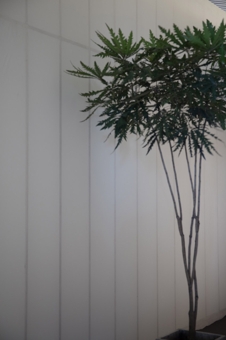 穿越时空的 Poltrona Frau 宣纸装置艺术-14