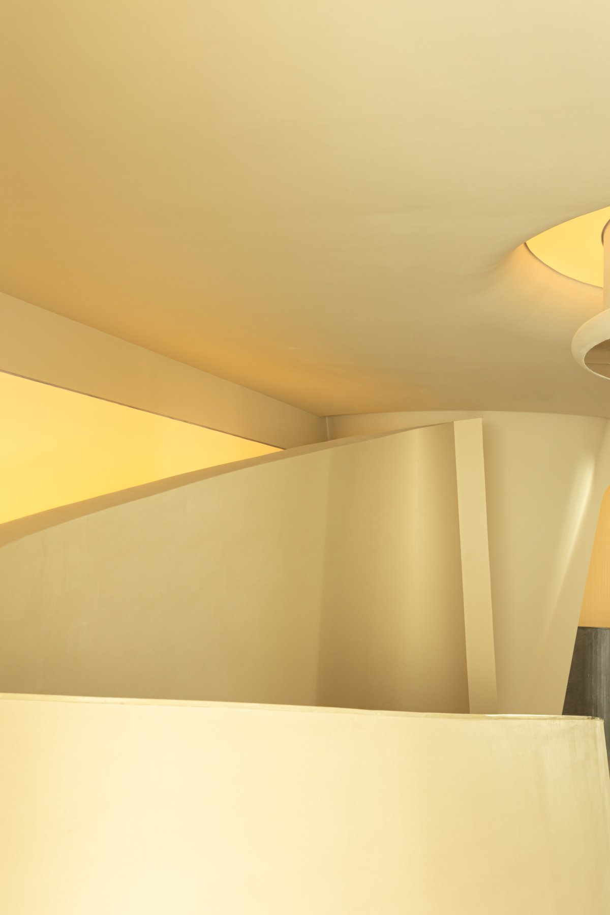 从心而觅丨戈多设计-12