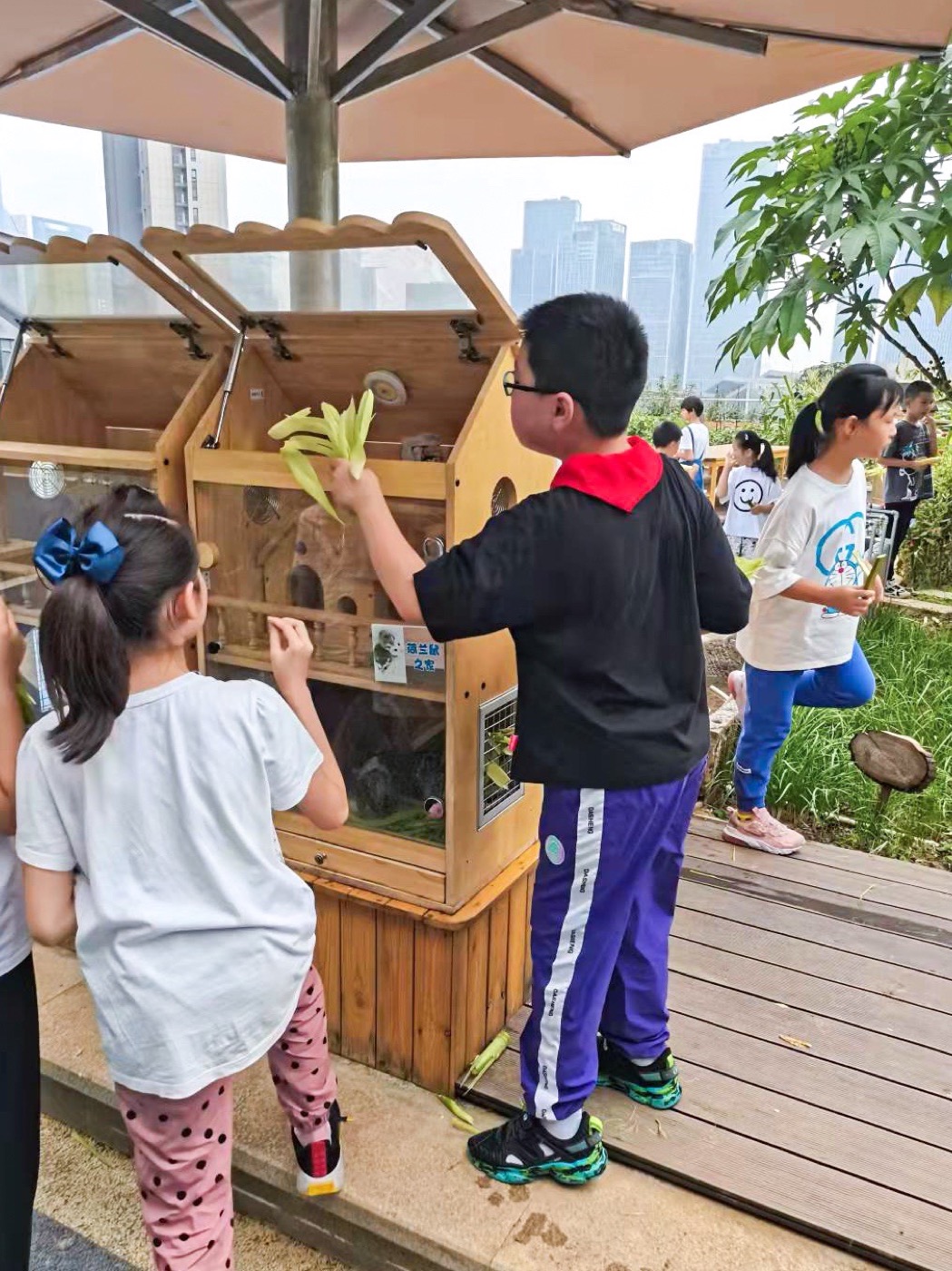 南京志远外语学校天空之园丨中国南京丨南京林业大学风景园林学院团队-26