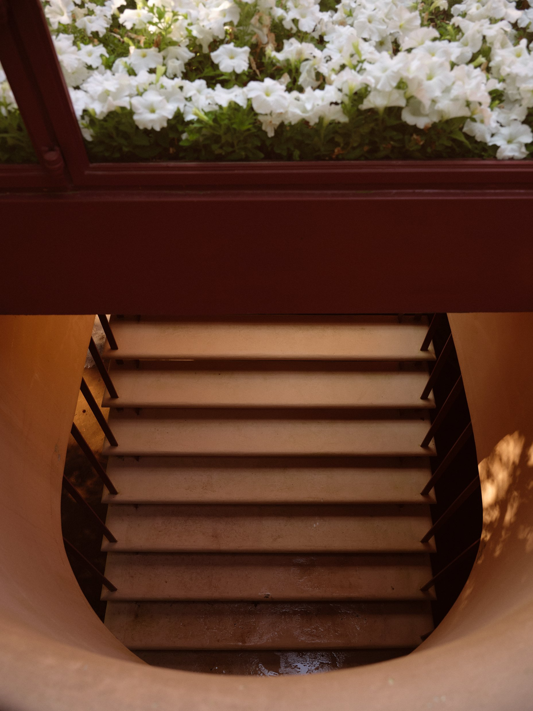 流水别墅丨美国宾夕法尼亚丨弗兰克·劳埃德·赖特-69