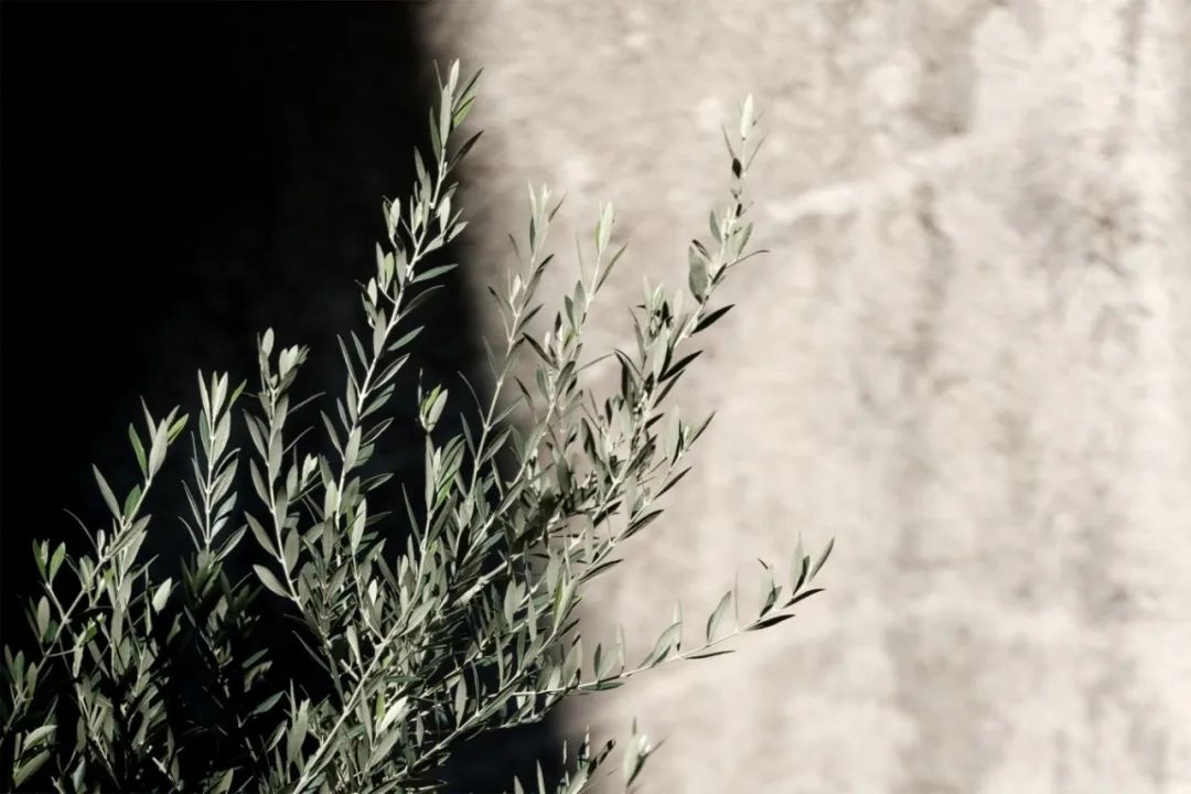 纯净雅致的空间艺术——Giorgio Rava 设计解读-39